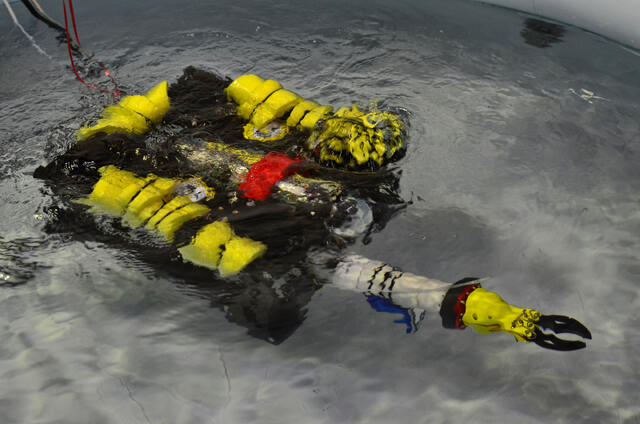 Dette kan du bruke undervannsdroner til